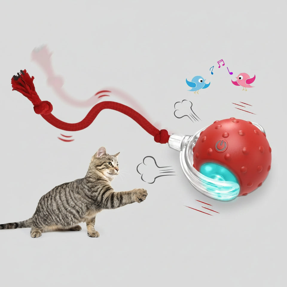 Cat toy with a red ball and red string, featuring a cat interacting with it on a white background.