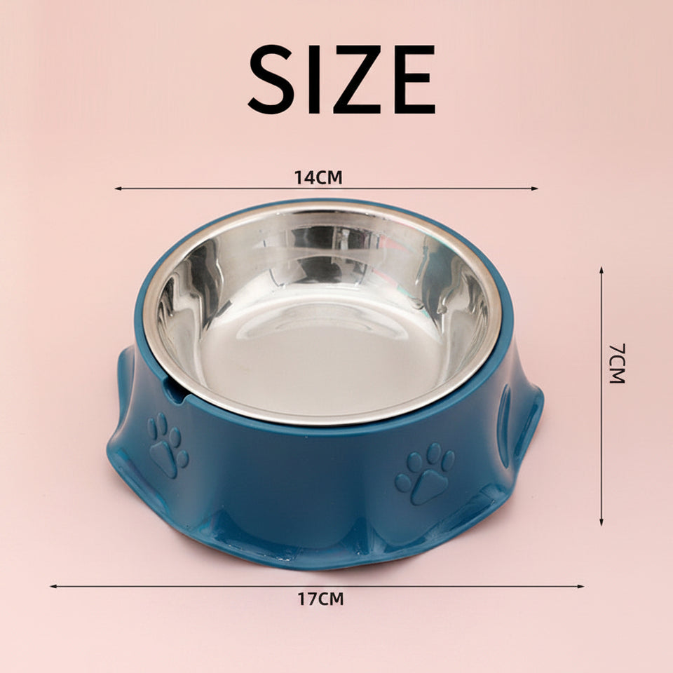 kitten-food-bowl