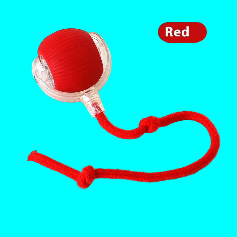 Red ball with a rope on a white background