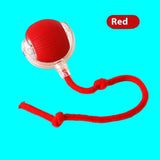 Red ball with a rope on a white background