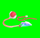 Red toy with a colorful feather on a white background
