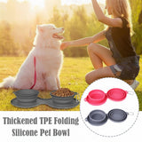 pet-travel-feeding-accessory