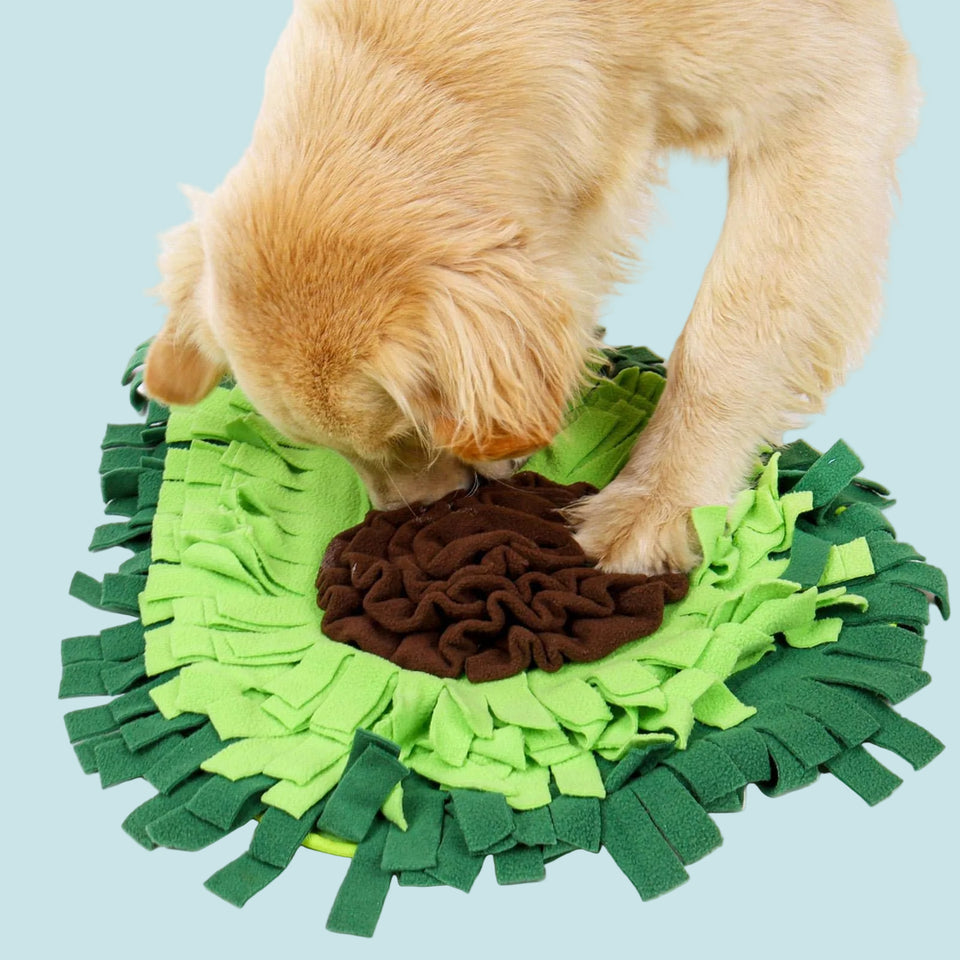 Dog playing with a green and brown snuffle mat on a white background