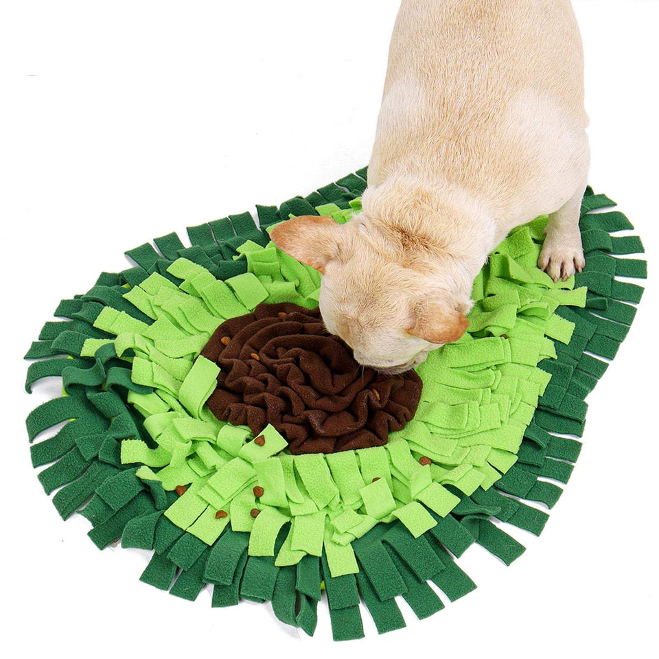 Dog playing with a green and brown snuffle mat on a white background