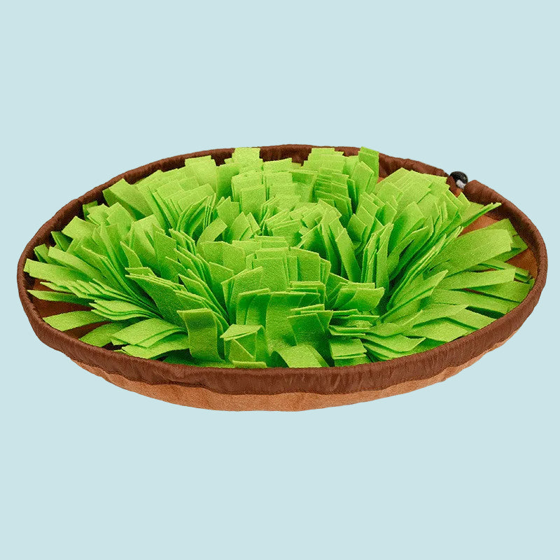 Green pet toy with brown base on a white background