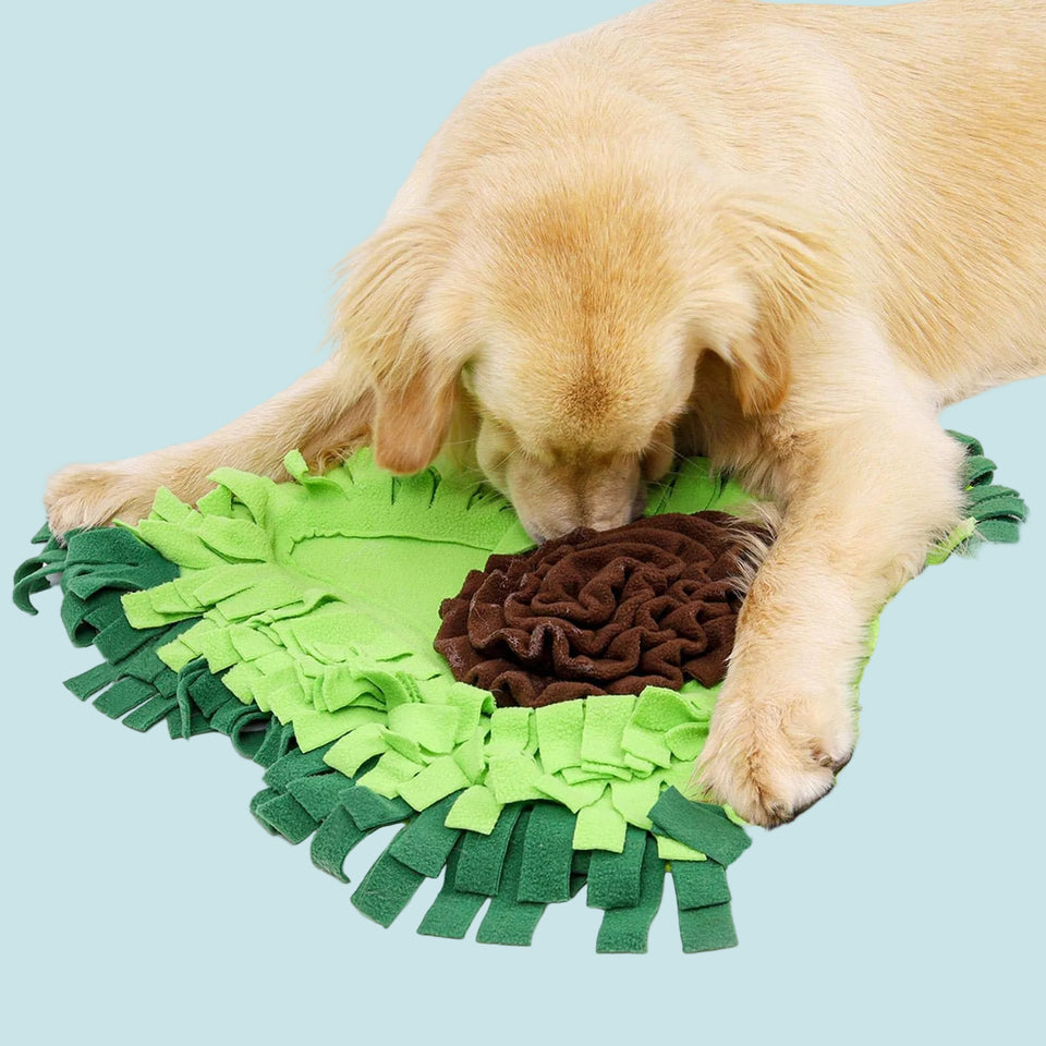 Dog playing with a green and brown snuffle mat on a white background