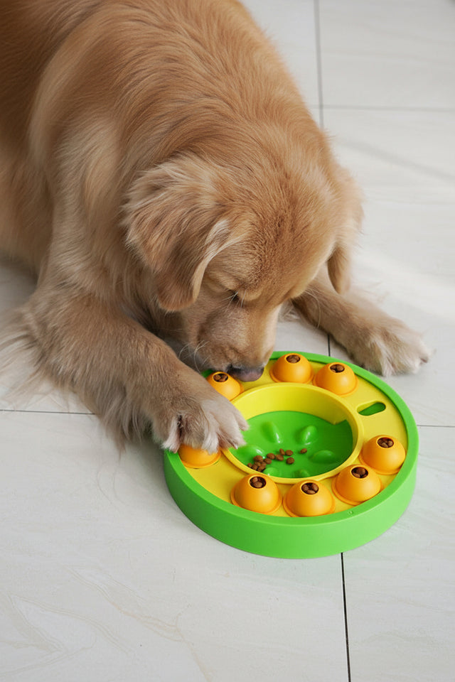 Dog interacting with a green and yellow puzzle toy on a light wooden floor.