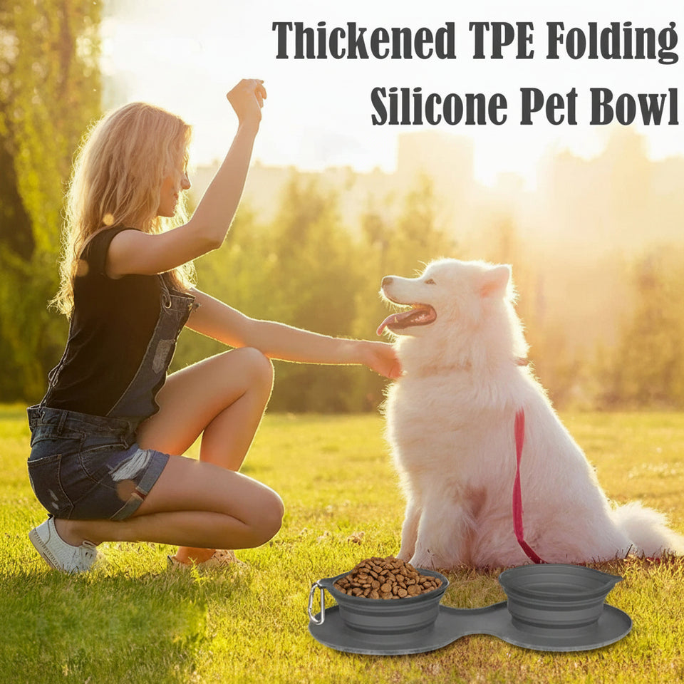 road-trip-pet-bowl-set