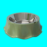 cat-water-feeding-dish