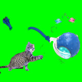 Cat toy with a blue ball and rope, featuring a cat interacting with it on a white background.